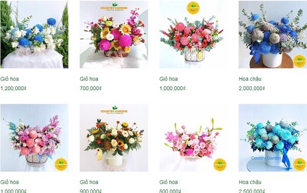 Gợi ý 15 hoa đẹp tặng sinh nhật ý nghĩa cho người nhận