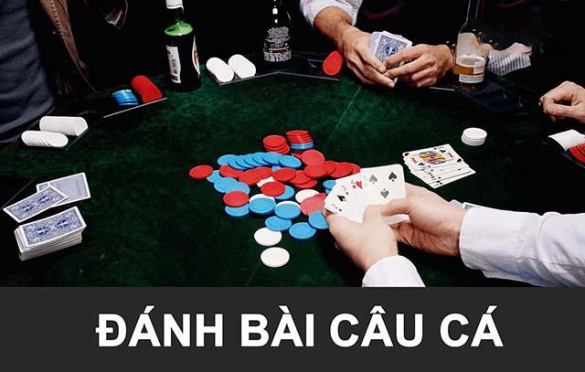 Cách chơi trò chơi đánh bài câu cá 2 người, đơn giản và dễ hiểu cho người mới bắt đầu