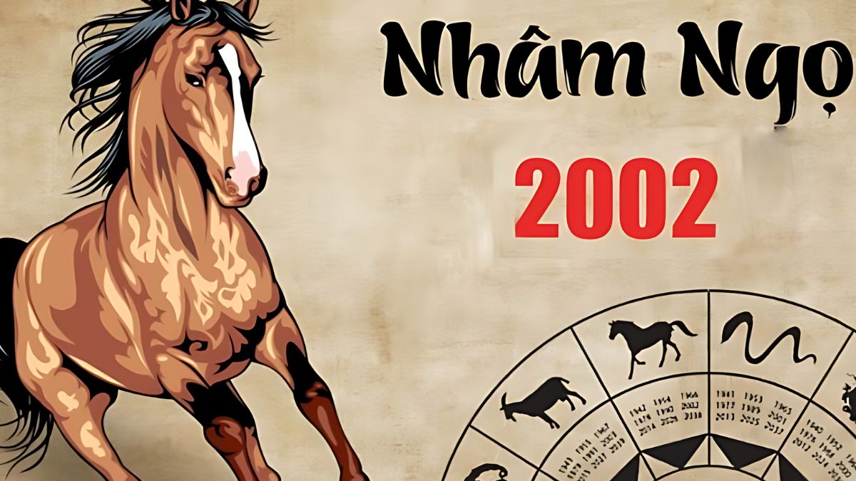 2002 mệnh gì, tuổi gì? 2002 hợp và khắc màu sắc nào?