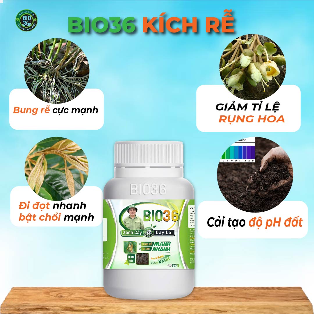 chất kích thích rễ